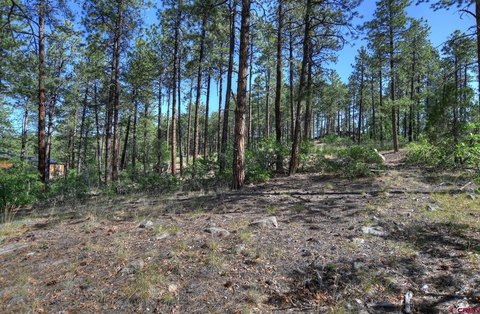 Land For Sale, Durango, CO