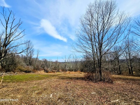 Picturesque Land Parcel in Newfoundland
