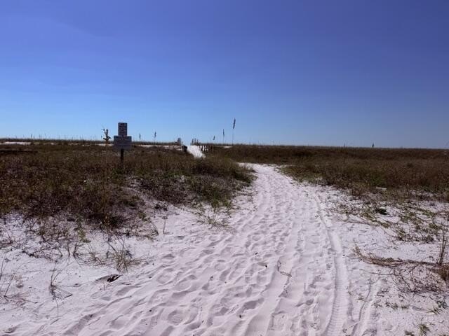 Picture 7