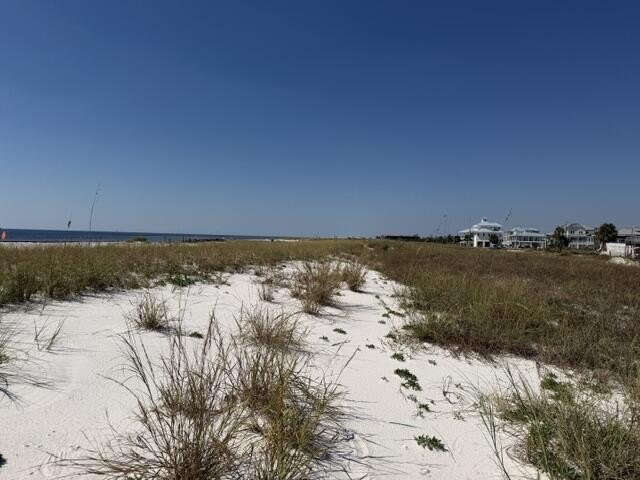Picture 9