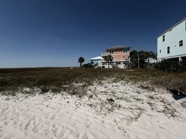 Picture 8