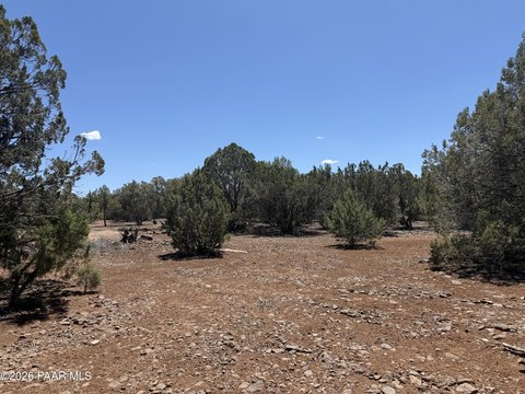 LAND - Show Low, AZ
