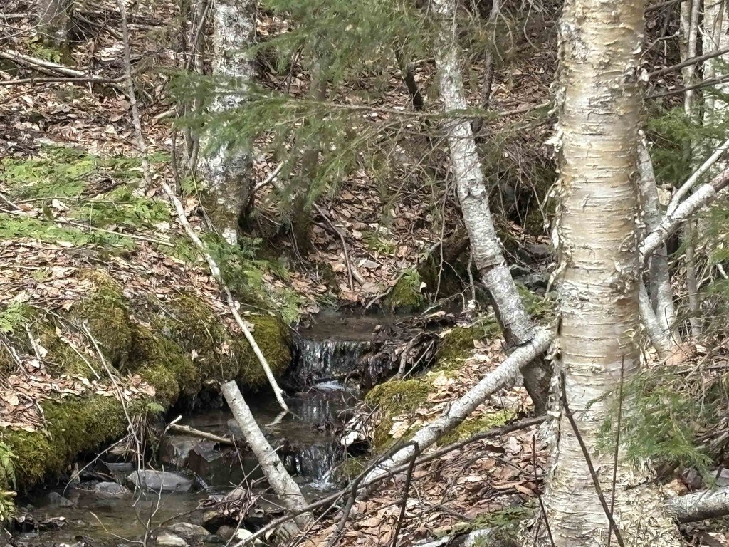 Picture 31