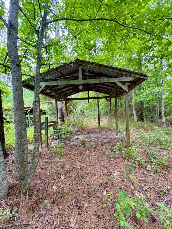 Picture 3