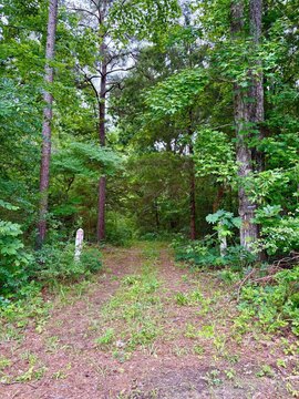 Recreation Land with Timber Potential
