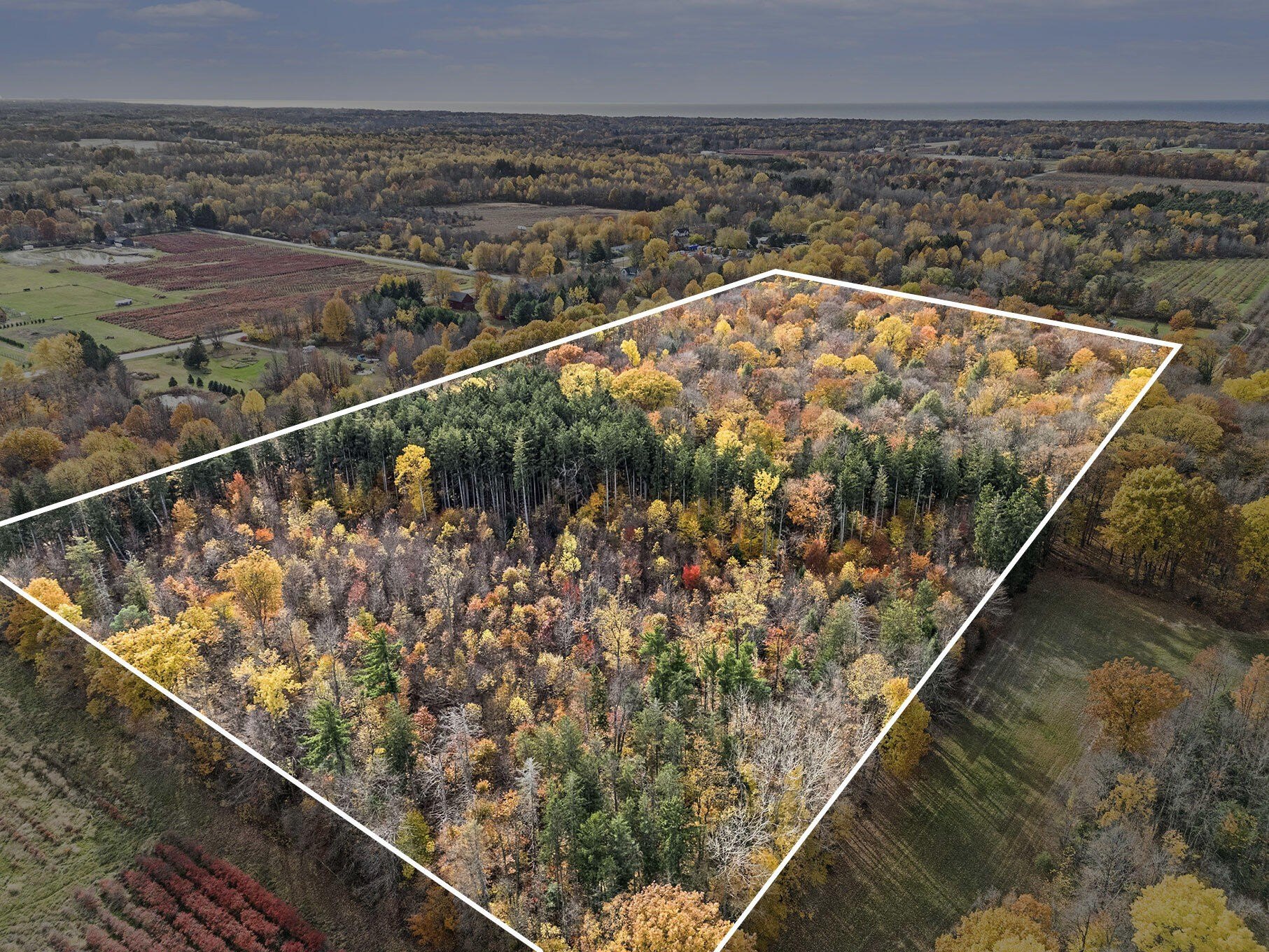 Fennville Wooded Acreage For Sale