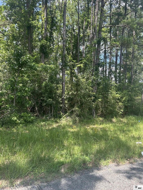 Picture 3