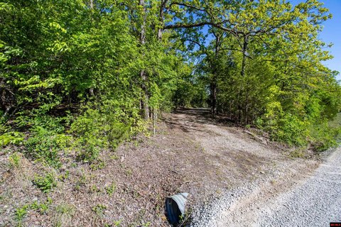Wooded Land Near Lake Norfork