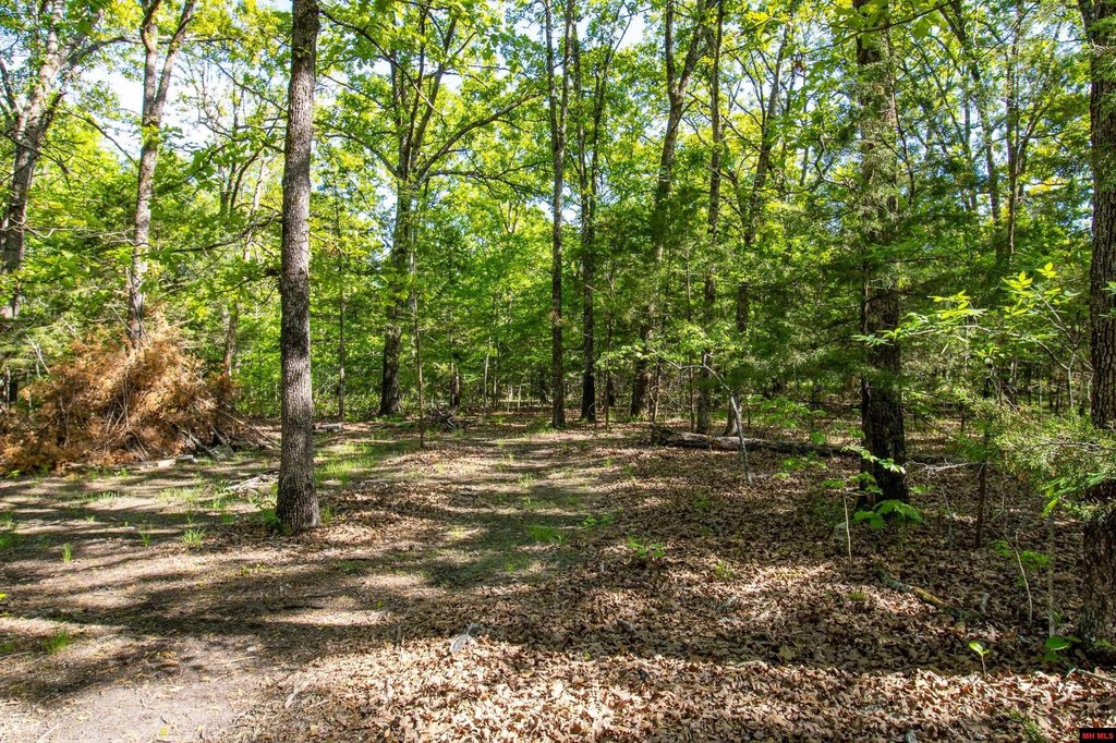 Picture 9