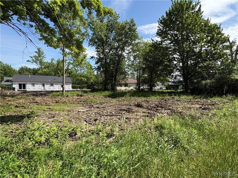 Land, Angola, NY