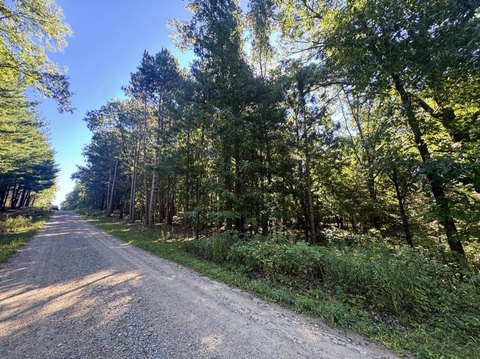 Land, Rockford, MI