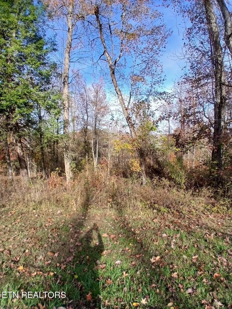 Rockwood, TN Building Lot
