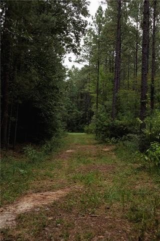 Picture 8