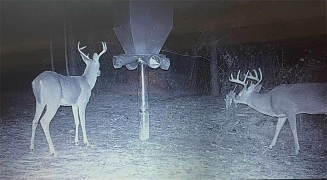 Picture 19