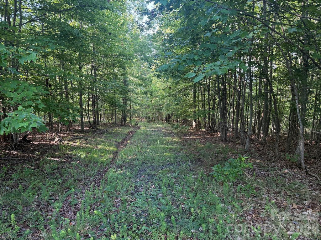 Picture 3