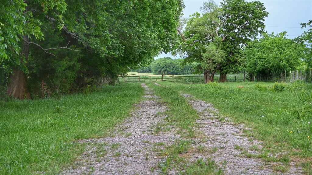 Picture 12