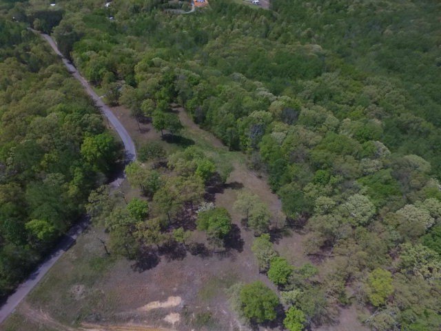 Picture 11