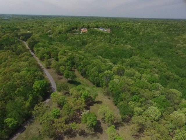 Picture 12