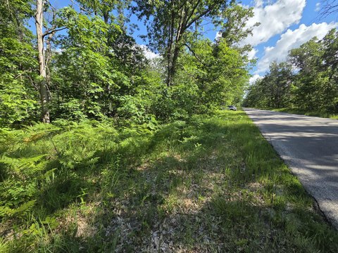 Wooded Lot Near State Land