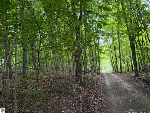 Vacant Lot/Land, East Jordan, MI
