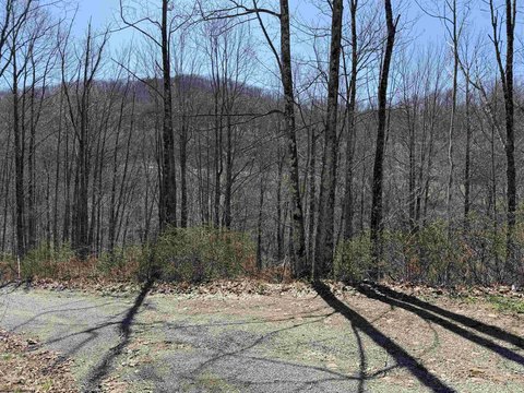 Wooded Acreage Near Recreational Areas