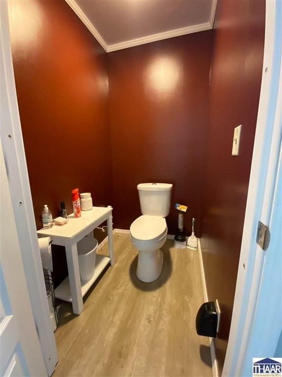 Picture 21