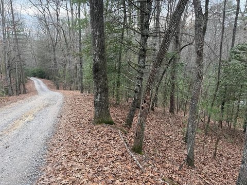 Wooded Building Lot in Murphy
