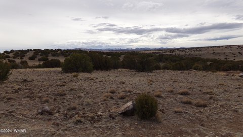 Land in Concho Valley, AZ