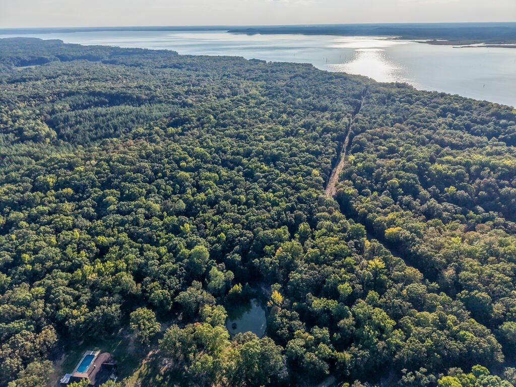 Picture 17