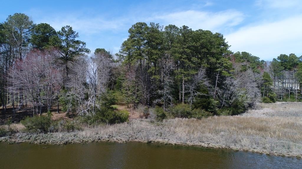 Waterfront Land on Occohannock Creek