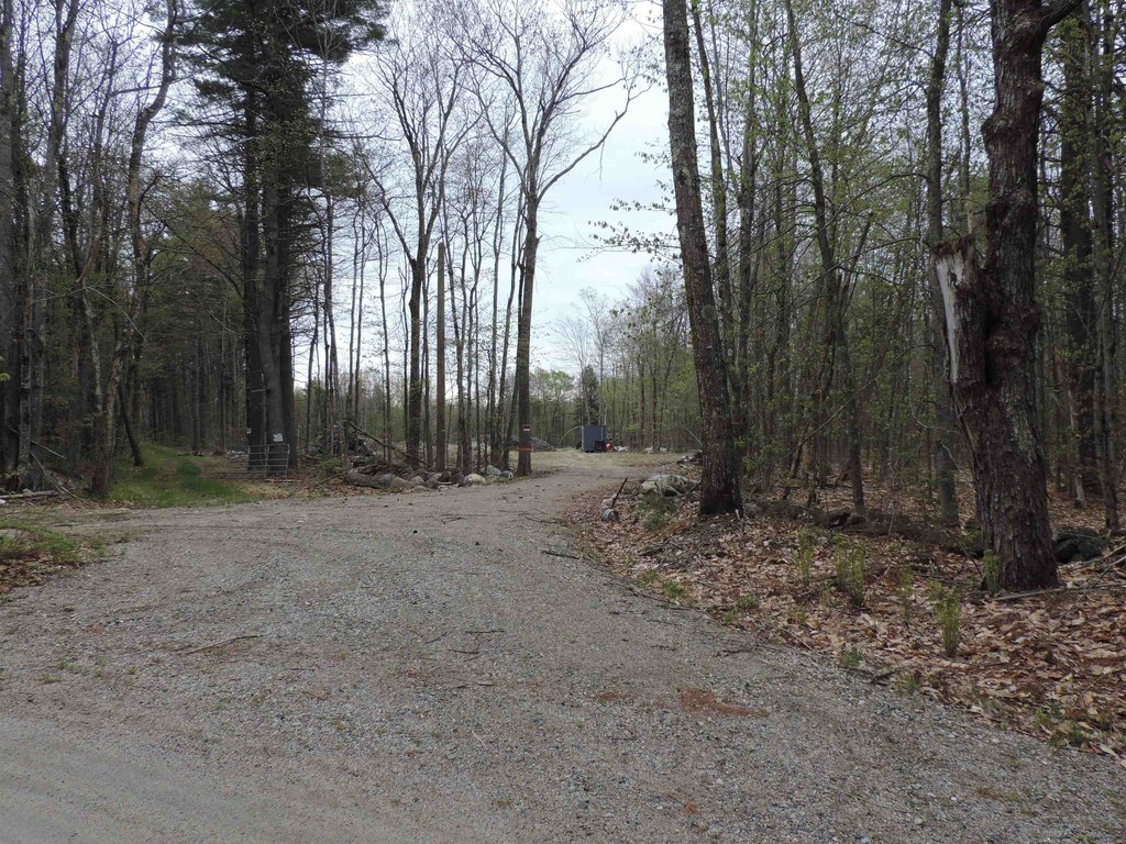 Picture 5