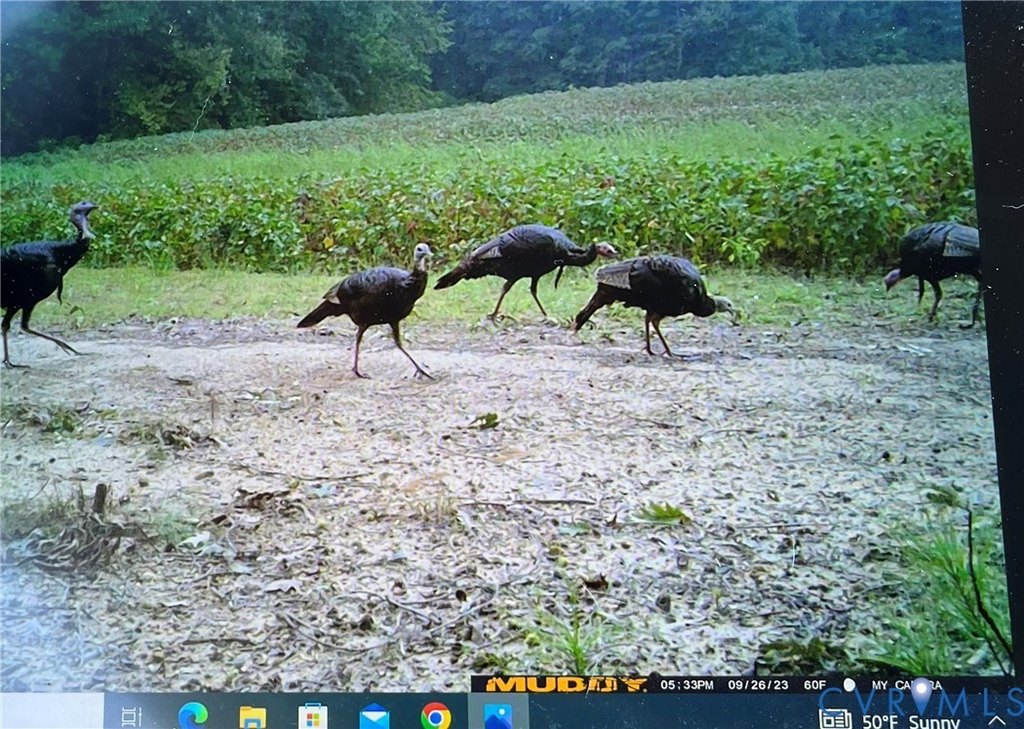 Picture 13
