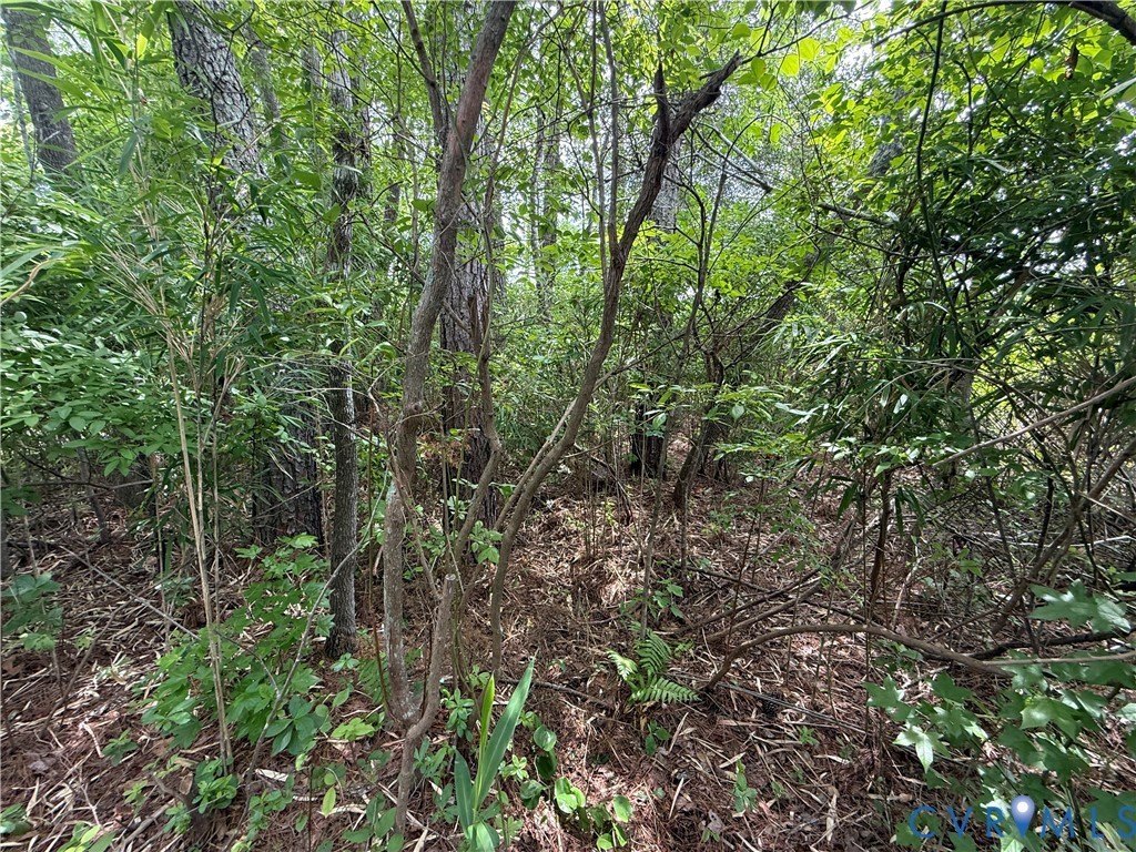 Picture 39
