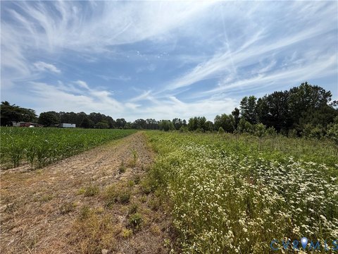 Hunting and Farm Land Tract