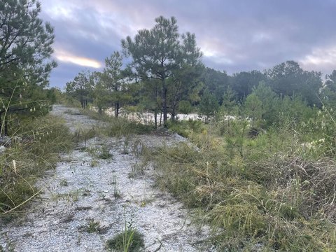 Land, Columbus, GA