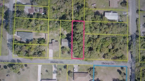 LAND - OAK HILL, FL