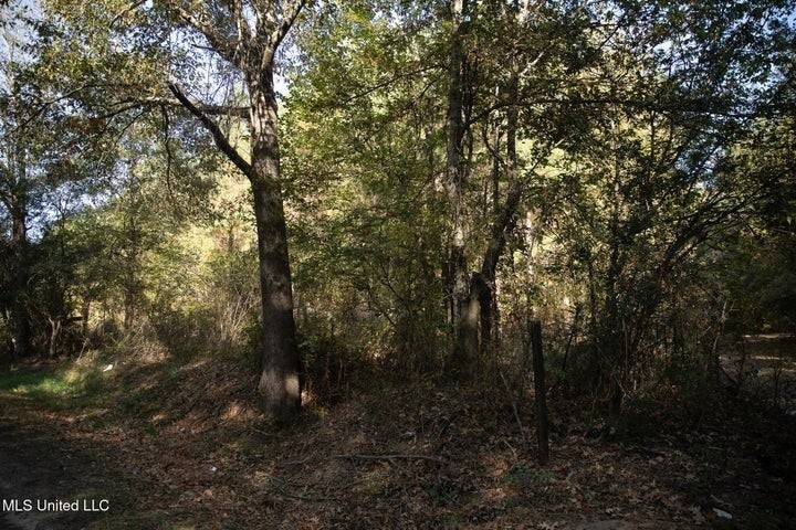 Picture 21