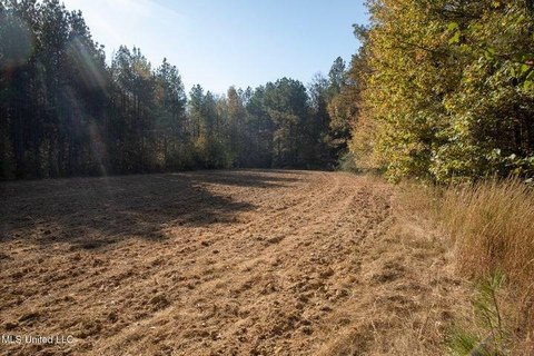 Vaughn, MS Vacant Land