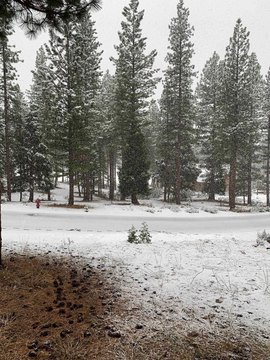 Residential Land in Gated Community