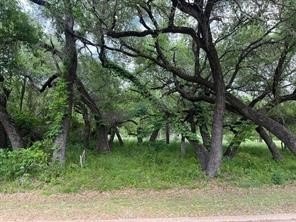 Treed Golf Course Lot in Resort