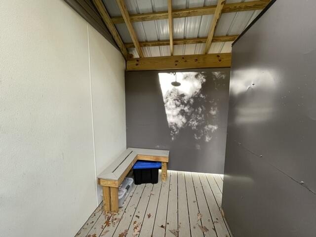Picture 12