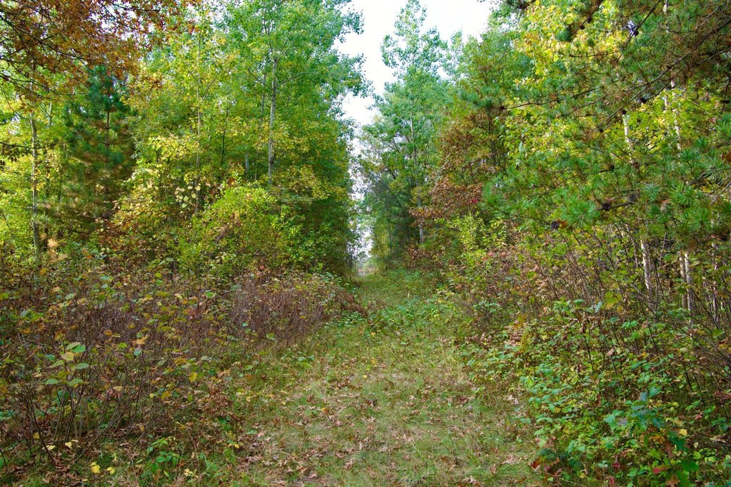 Picture 6