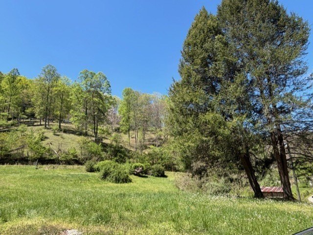 Picture 6