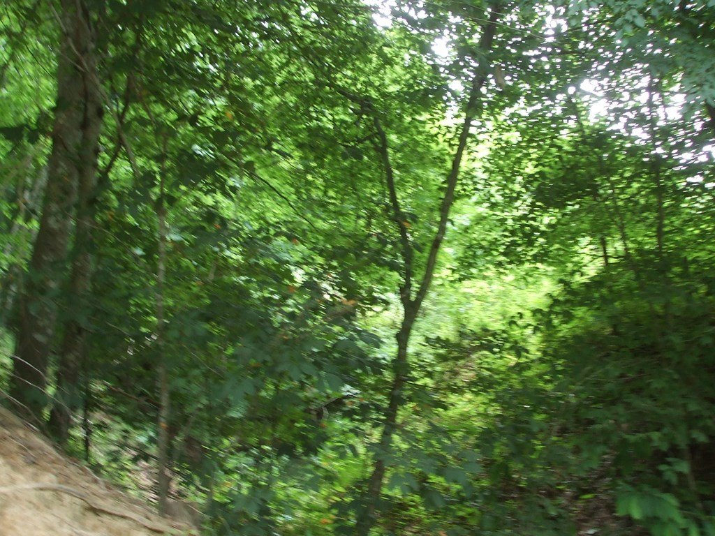 Picture 4