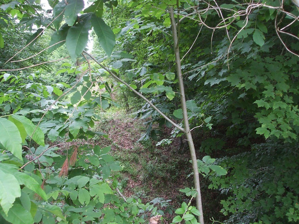 Picture 2