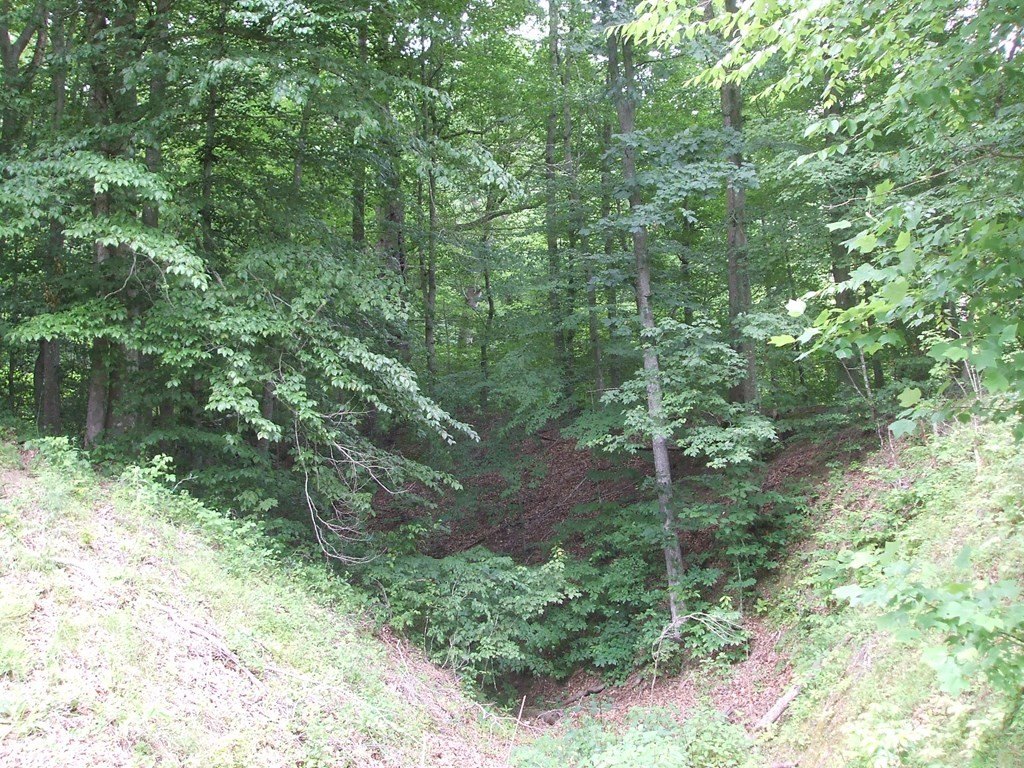 Picture 5