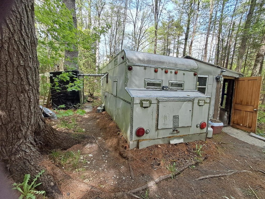 Picture 8