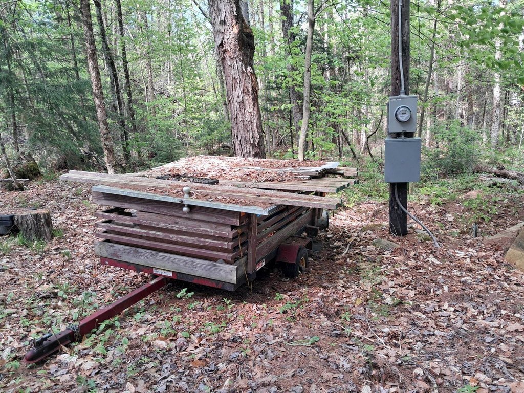 Picture 5