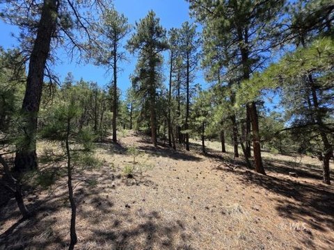 Mountainous Wooded Land For Sale
