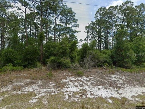 Residential Lot in Placid Lakes